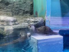 -正佳极地海洋世界