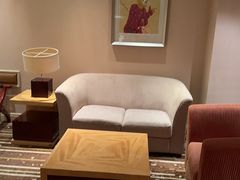 -电谷雅阁国际大酒店