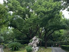 -中山公园