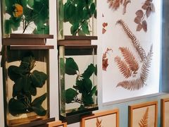 -重庆自然博物馆(新馆)