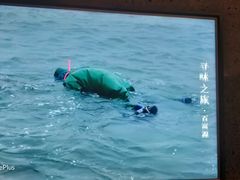 -百富源·海鲜辽菜(和平北大街店)