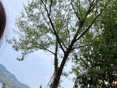 -天目湖涵田半山温泉