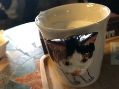 -猫猫幼稚园·撸猫·桌游·电玩