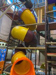 -卡通尼·Safari非洲探索乐园·生日会(金桥国际商业广场店)