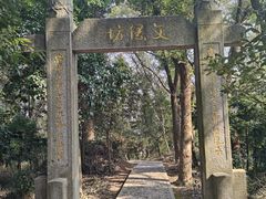 -上海佘山国家森林公园天马山园