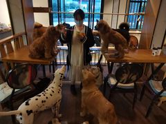 大堂-萌喵咖啡屋(人民东路4号口M16商铺店)