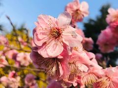 -河南省黄河迎宾馆