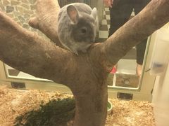 -龙猫仔乐园(惠福东路店)