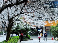 -玛格萝妮比萨屋(四平店)