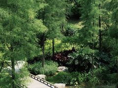 -云溪植物园