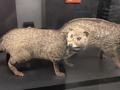 -昆明动物园