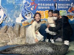 -太奥幻太奇海洋馆