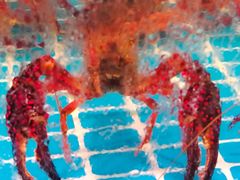 -巽寮印象美食部落餐厅·海鲜·地方特色菜(惠州体验店)