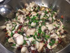 -百岁鱼(七一路店)