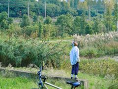 -白鹭湾湿地公园