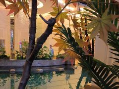 -水之梦(黄浦店)