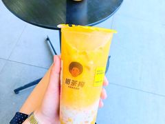霸气杨枝甘露-奶茶狗(旧梦店)