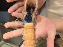 -镹·鱼料理  国产鱼使用店