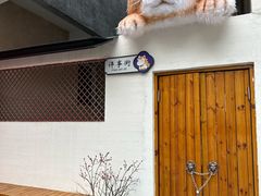 -遇见拿破仑(熙南里店)
