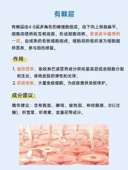 -WH日式美甲沙龙