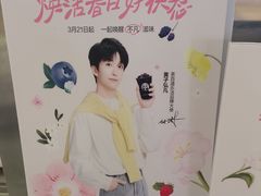 -茶百道(呼家楼店)