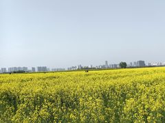 -汉长安城未央宫国家考古遗址公园