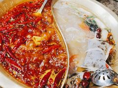 -小龙坎火锅(春熙太古里店)