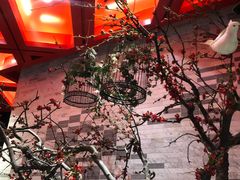 -解家河南菜(商鼎路店)