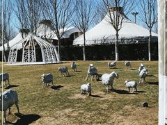 -九十九顶毡房(阜石路店)