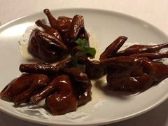 乳鸽-三号黄浦会Canton Table