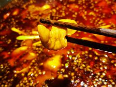 -吃城都·鱼蛙火锅(西玉龙街店)
