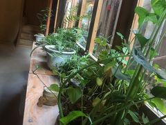 -丝恋丝娃娃(金阳国贸店)