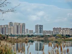 -眉山湿地公园(东坡区)