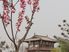 IMG_3331-西安青龙寺遗址景区
