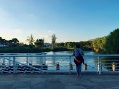 -新江湾城公园