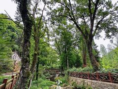 -素山寺森林公园