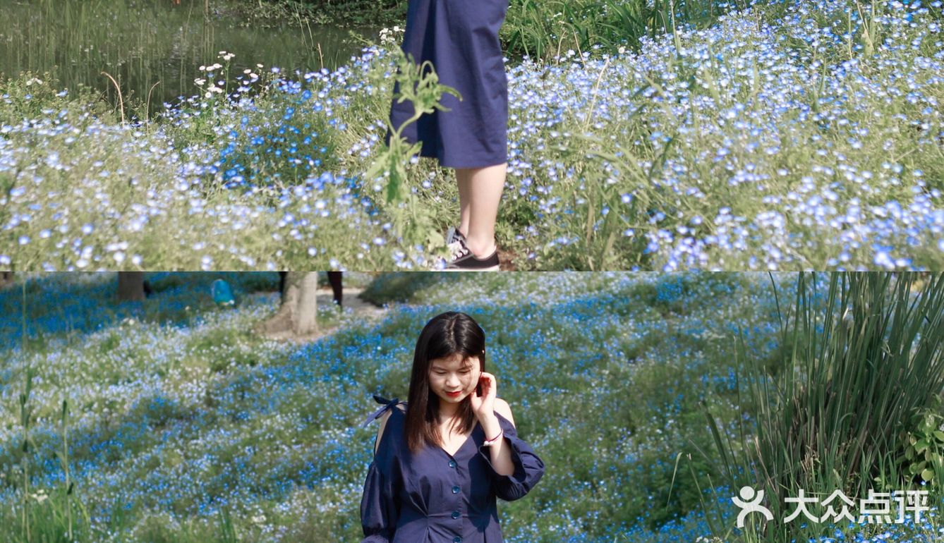 杭州喜林草花海打卡|掉进莫奈花园里啦