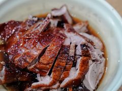 皮脆肉嫩的红皮鸭-晓马鸭店(新芜路店)
