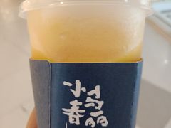 -春丽小马(济南恒隆广场店)