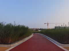 -西安浐灞国家湿地公园