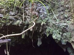 -怀托摩萤火虫洞