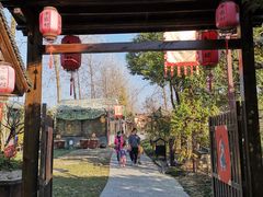 -合肥滨湖国家森林公园