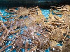-新阿布海鲜大酒店