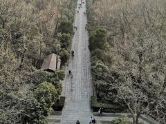 -灵谷景区