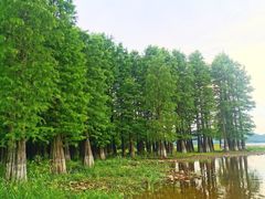 -四明湖