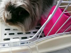 -UltraForce超源健身私教工作室(长楹天街精品店)