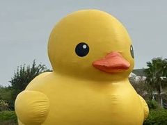 -深圳湾万象城