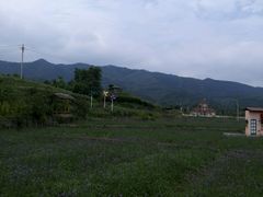 picture-乐天花谷