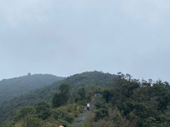 -梧桐山风景名胜区