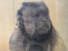-合肥野生动物园